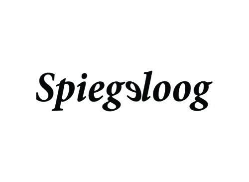 Spiegeloog logo