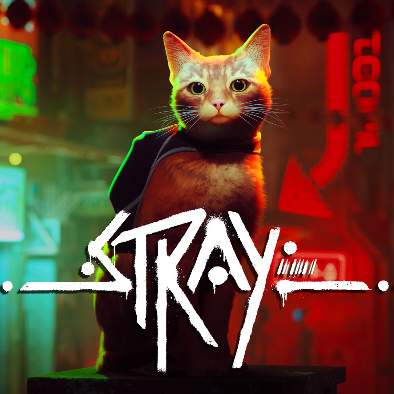 Spiegeloog - Art Affairs: Stray