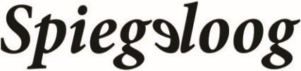 Spiegeloog